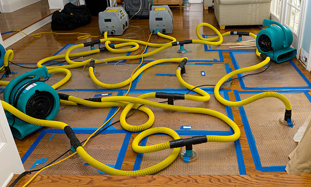 Professional Basement Flood Cleanup technician working in Maplewood, NJ